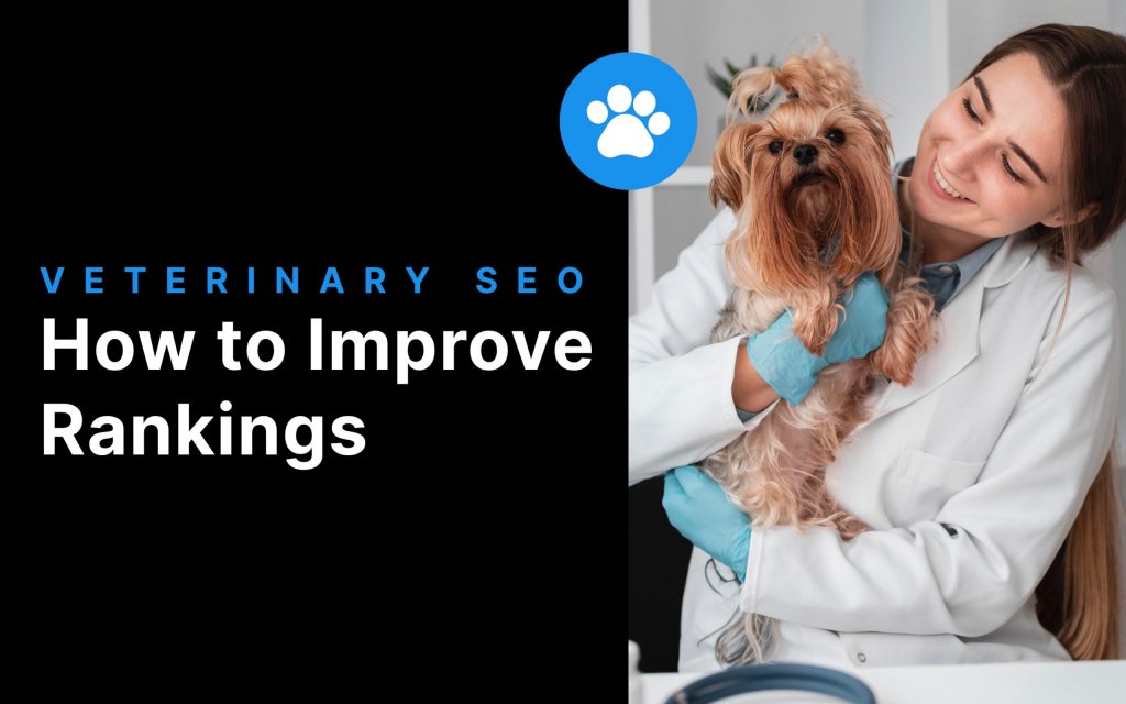 How To Improve Google Rankings with Veterinary SEO