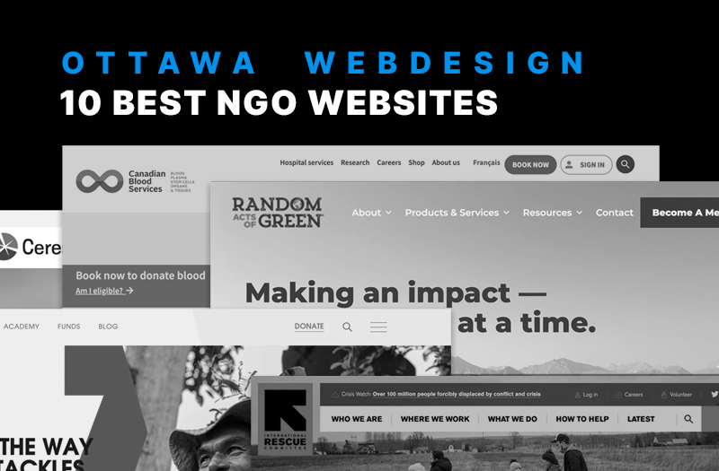 The 10 Best NGO Website Design Examples