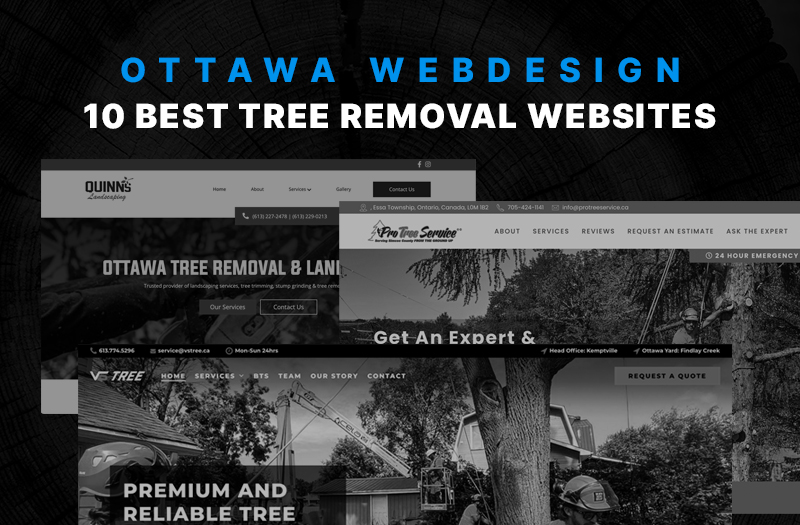 Top 10 Tree Removal Web Design Examples
